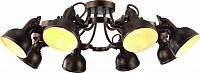 Люстра потолочная Arte Lamp арт. A5216PL-8BR