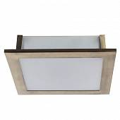 Потолочный светильник Arte Lamp Spruzzi A6064PL-2AB