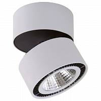 Светильник на штанге Lightstar Forte Muro LED 213830